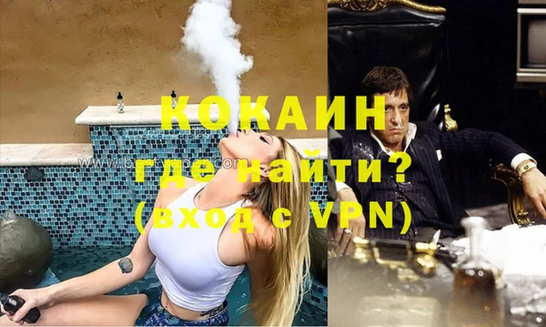 прущие грибы Волосово