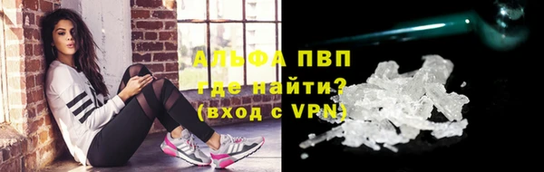 прущие грибы Волосово