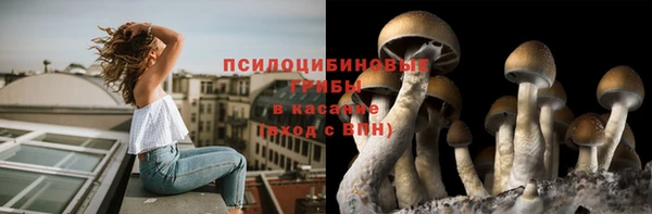 прущие грибы Волосово