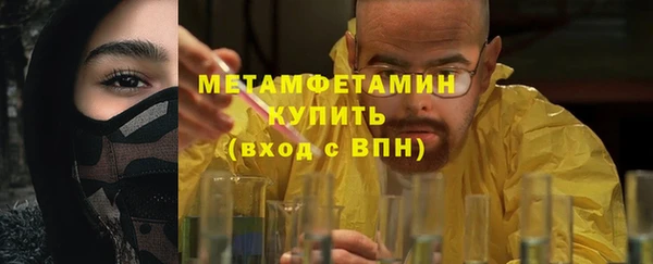 прущие грибы Волосово