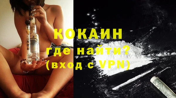 прущие грибы Волосово